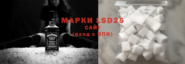 мдпв Богородицк